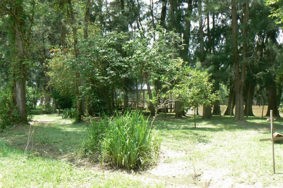 Posada Barlovento Tigre Room photo